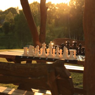 Dalius Pacevičius nuotrauka